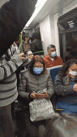 쉬는 댕댕이를 방해하지 않는 버스 승객들 | 인스티즈