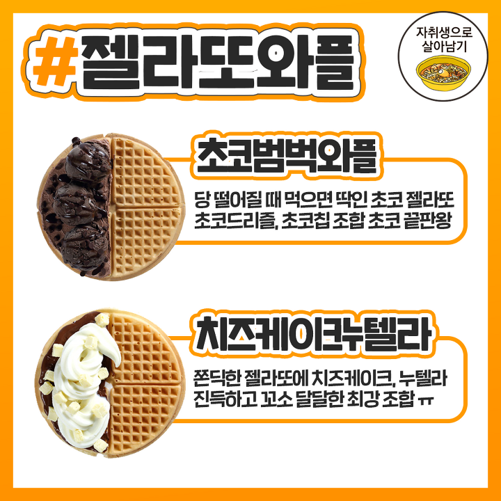 와플대학 이미지