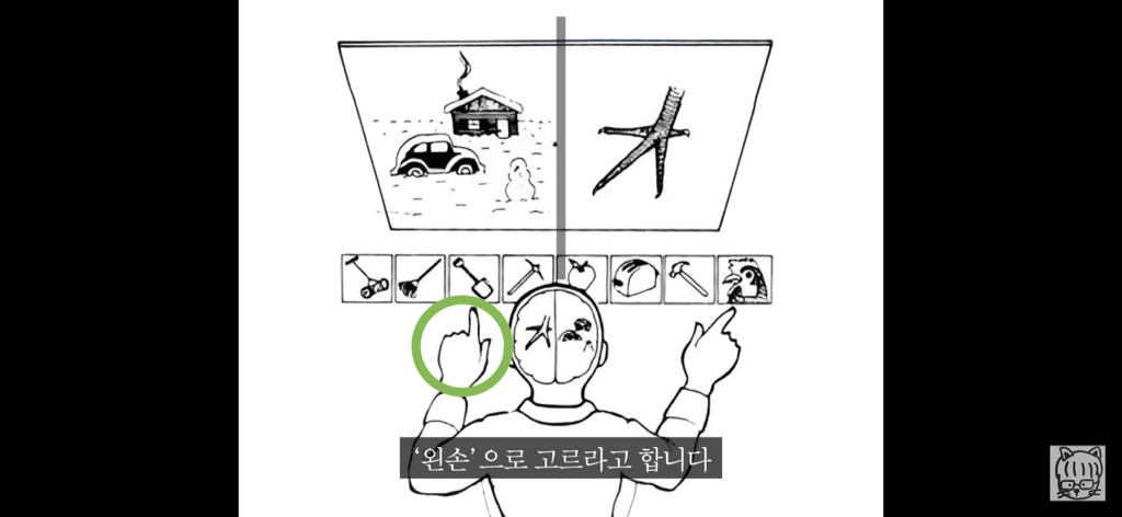 (스압)분리 뇌 실험 | 인스티즈