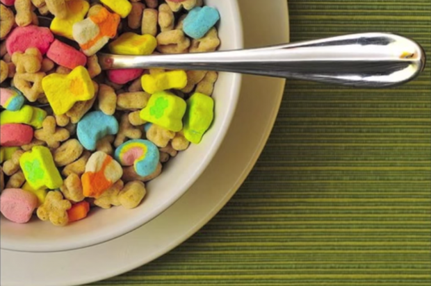 가보고 싶은 씨리얼 카페 | 인스티즈