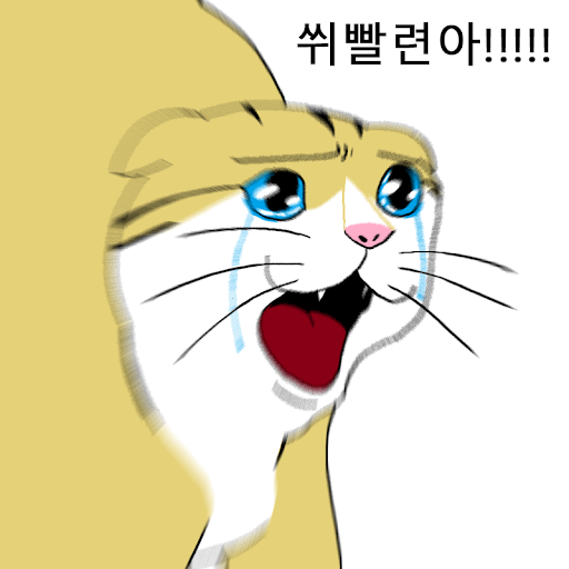 캣맘이 생기는 이유 | 인스티즈