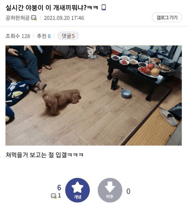곧 다가올 추석기념 디씨 명절 대참사.jpg | 인스티즈