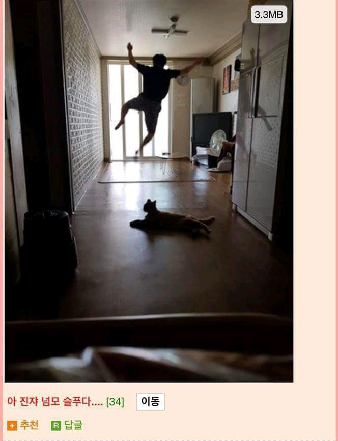 와이프가 애 데리고 친정감 | 인스티즈