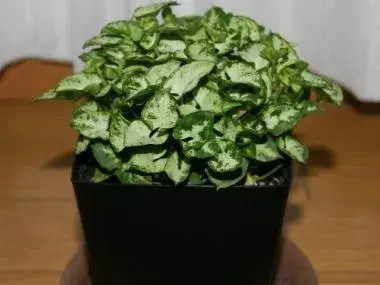 이상한 알바 썰 | 인스티즈