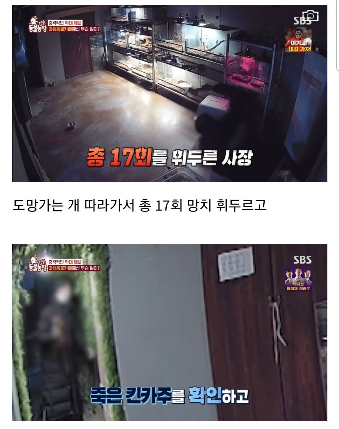 현재 난리난 동물농장에 나온 동물카페 사장.jpg | 인스티즈