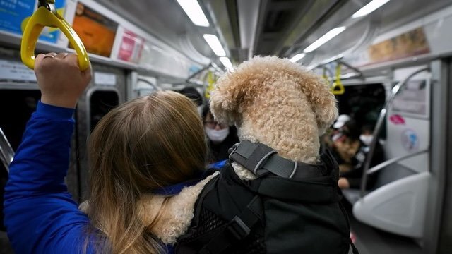 한국 관광 중에 갑자기 노인이 돈을 줘서 불편했던 외국인.jpg | 인스티즈