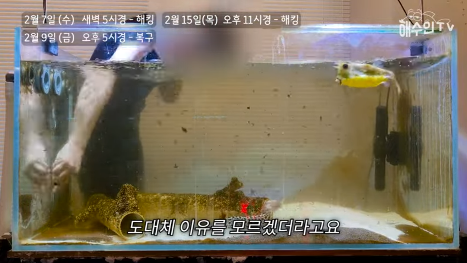 유튜브 계정이 3번이나 해킹 당한 이유 | 인스티즈