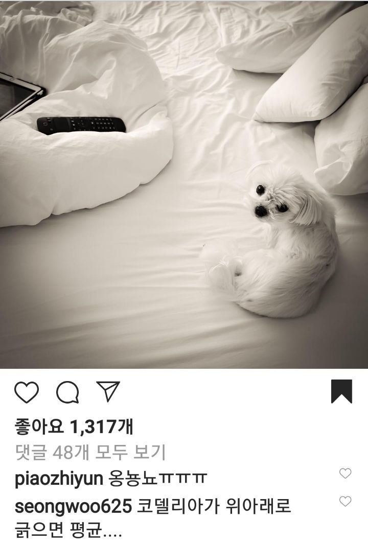 5ced04e76d543c08022bbf6306b961f2b0711e50