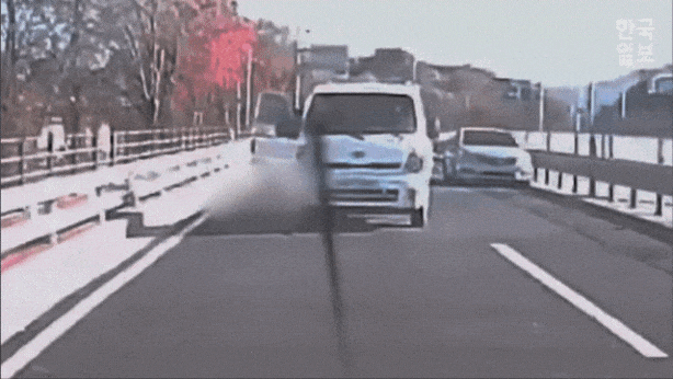 2달 전 마라톤 경기중 1톤 트럭에 치여 사망한 사건의 영상이 공개됨 | 인스티즈