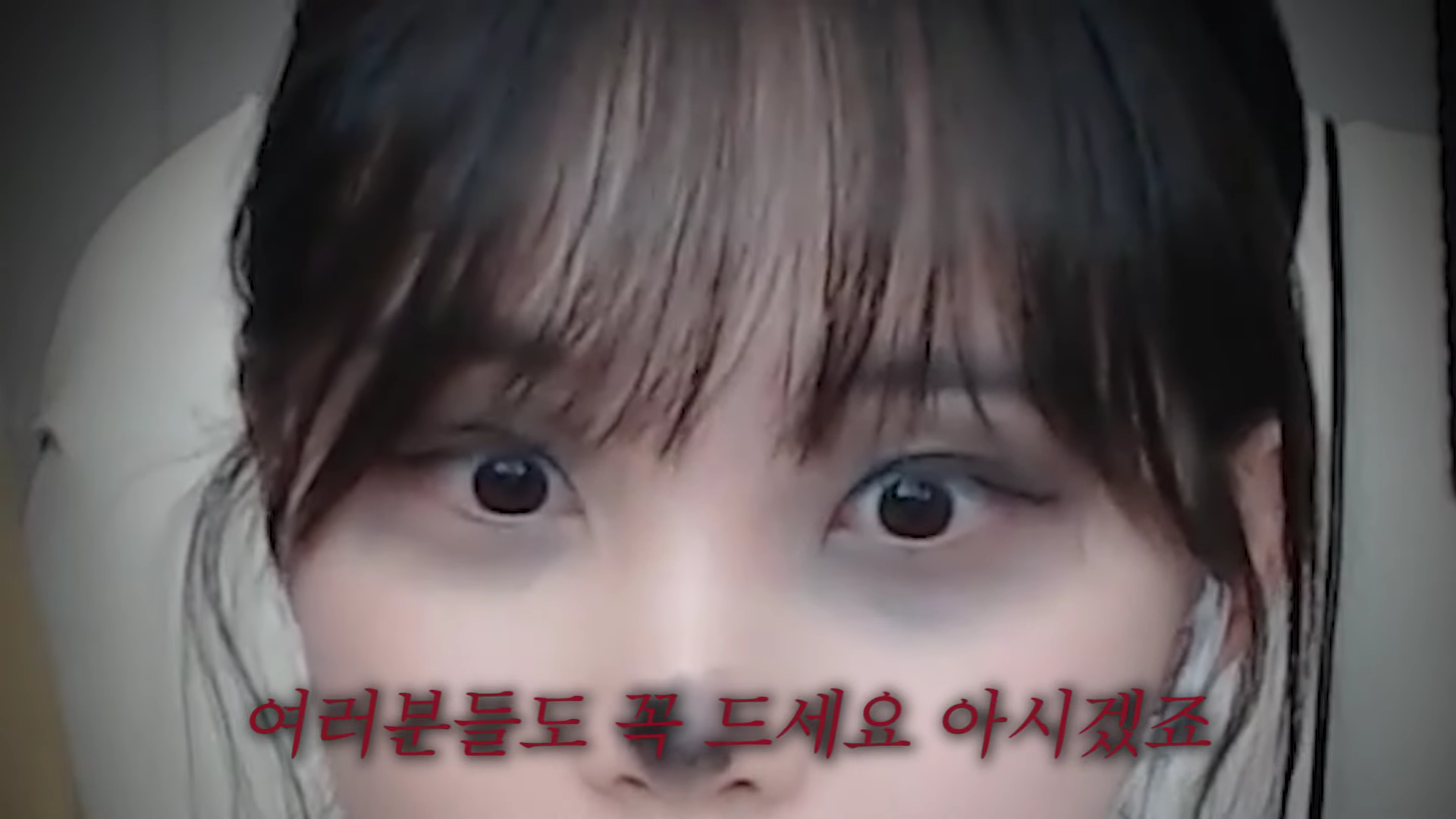 이젠 나무먹방까지 하는 우정잉 | 인스티즈