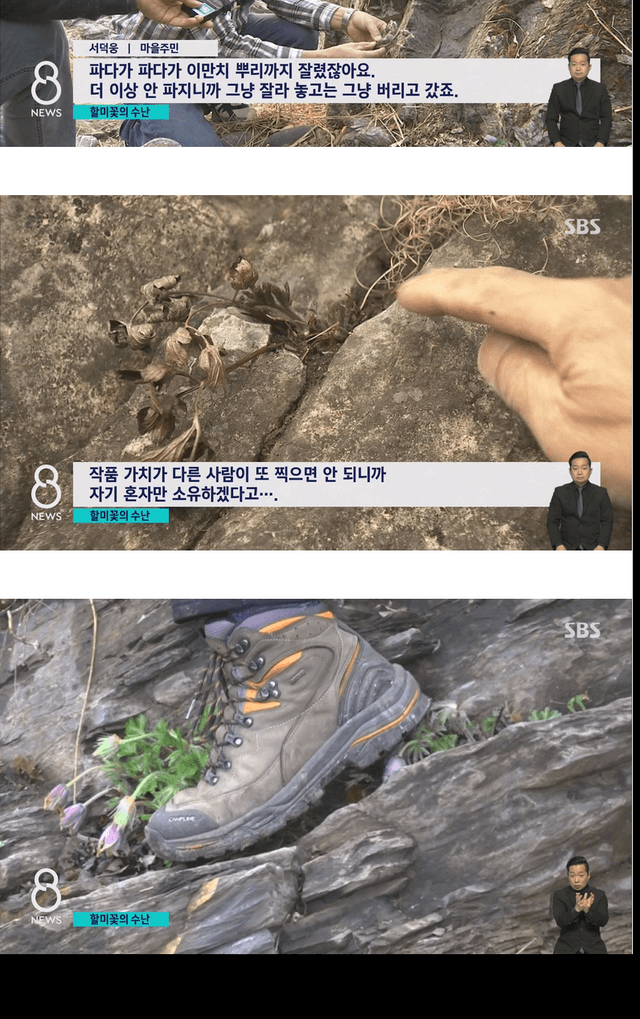 사진작가들이 사진찍고 피사체를 훼손하는 이유 | 인스티즈