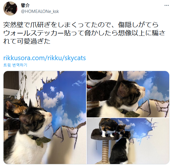 스티커에 속는 고양이들 .jpg[충주시] 지방직 공무원 인수인계 상황.jpg | 인스티즈