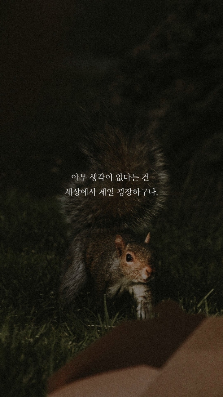 보노보노 명대사 | 인스티즈