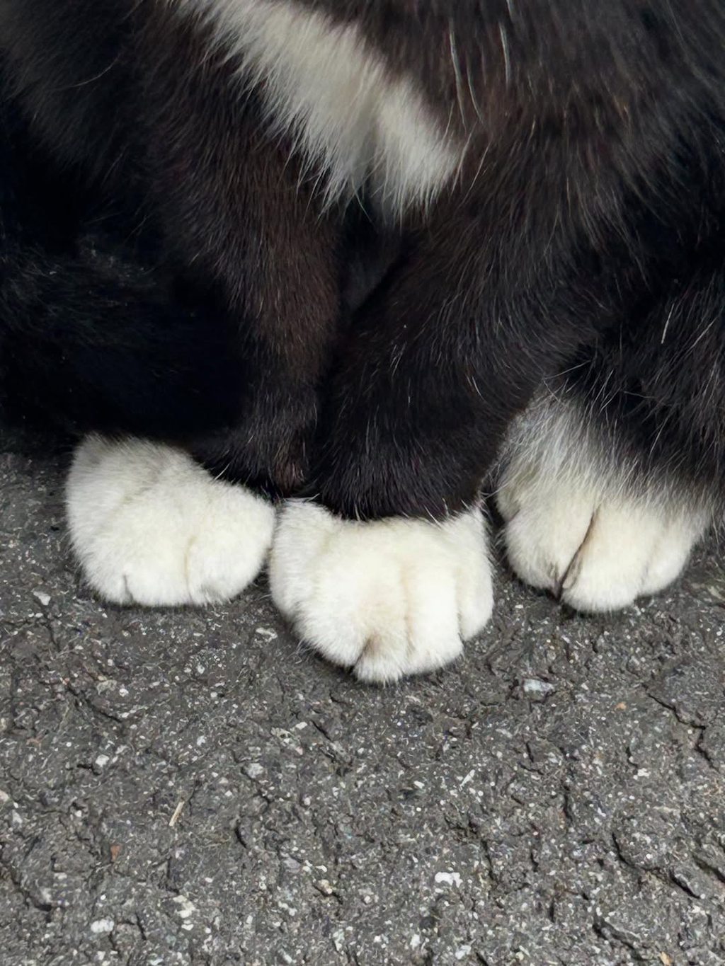 2026년 아이유 첫 인스타그램 | 인스티즈