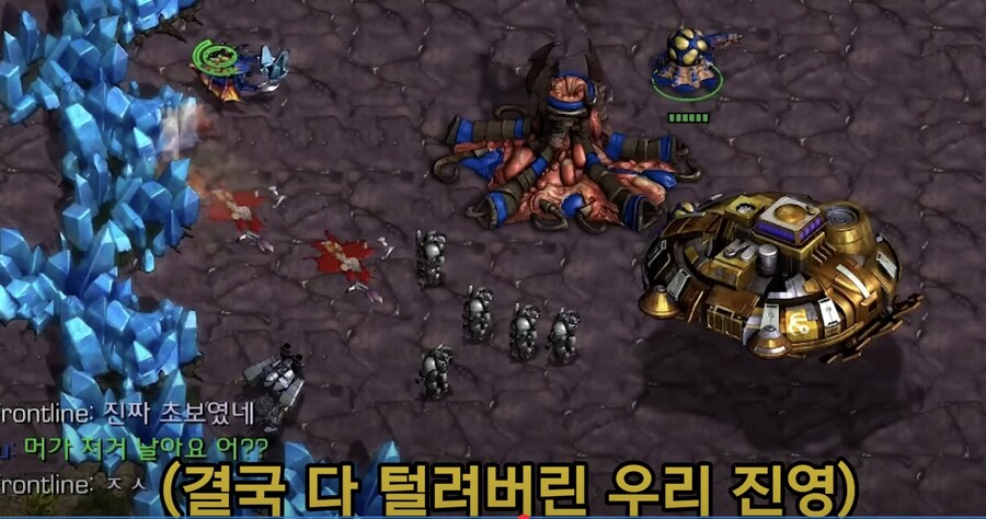 스타 초보방에 진짜 초보가 들어가면 생기는 일 | 인스티즈