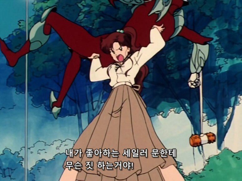 세일러문에 대한 흔한 오해.JPG | 인스티즈