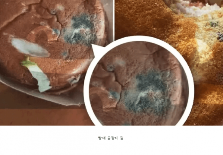 러시아 맥도날드 대체제 근황 | 인스티즈