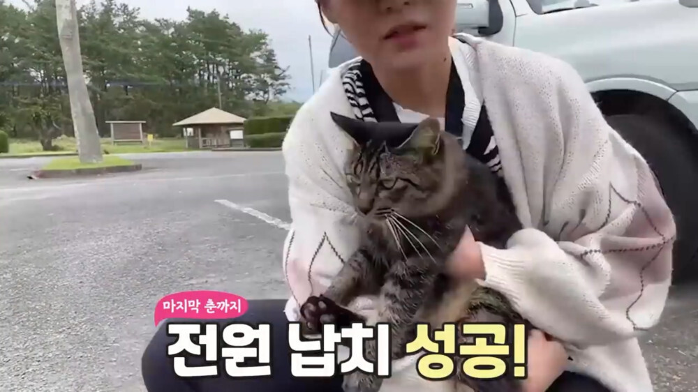 [스압주의] 일본인 캣맘 유튜버 2편 - 3천만원짜리 고양이 집 지음 | 인스티즈