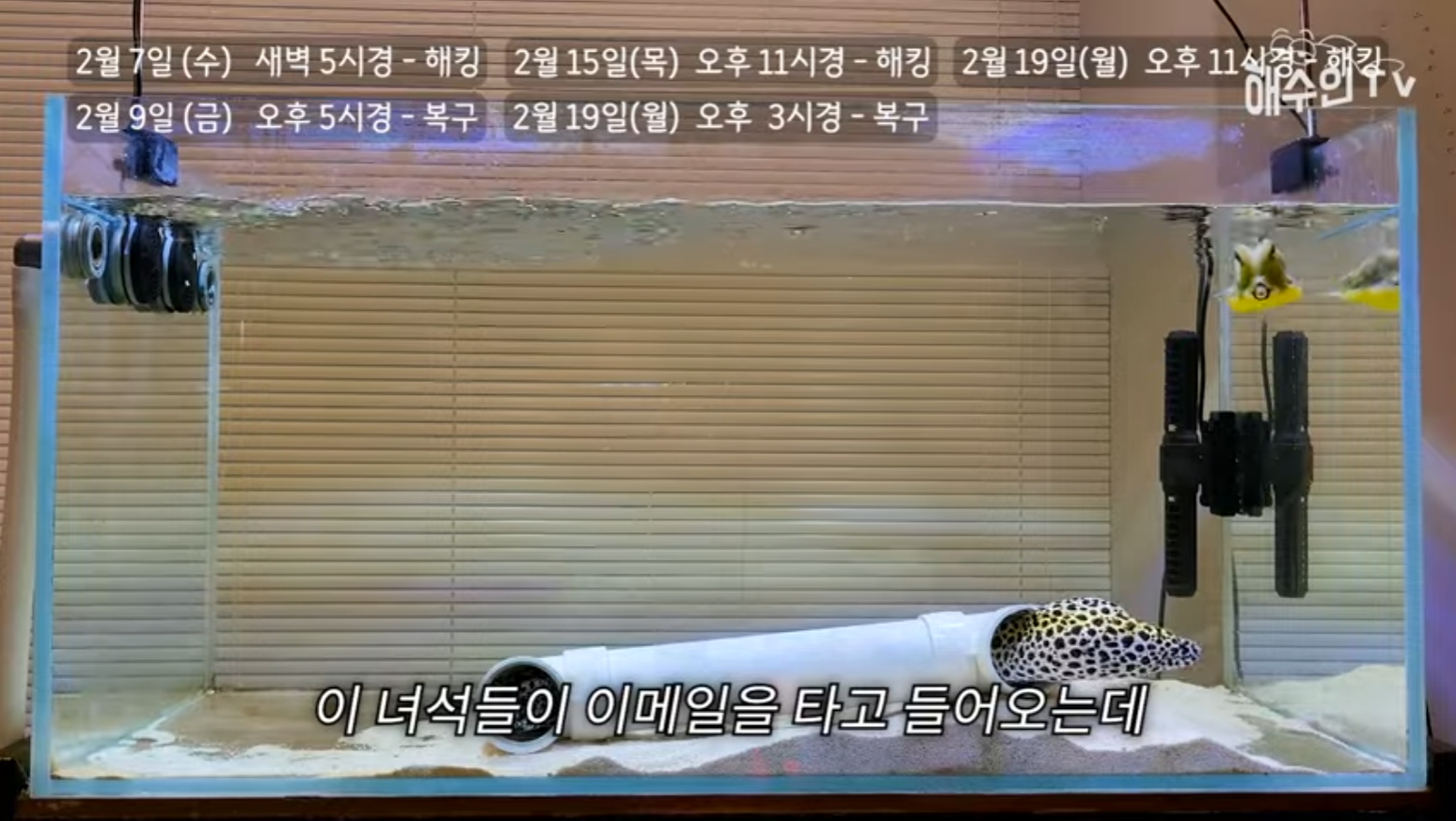 유튜브 계정이 3번이나 해킹 당한 이유 | 인스티즈