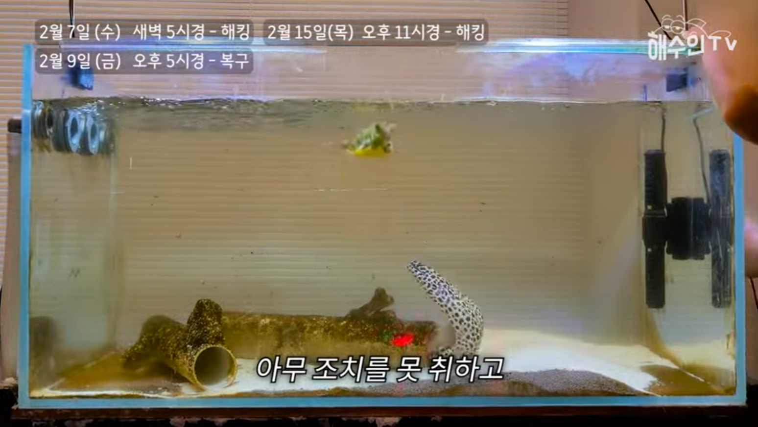 유튜브 계정이 3번이나 해킹 당한 이유 | 인스티즈