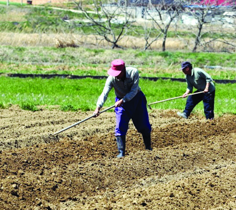 한국 장바구니 물가가 외국에 비해 비싼 이유.JPG | 인스티즈
