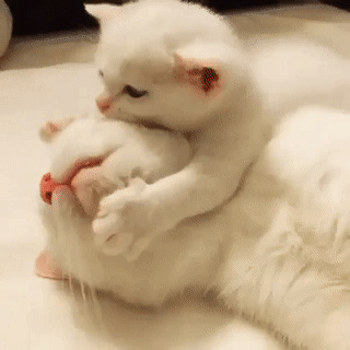 육아는 힘들어.gif | 인스티즈