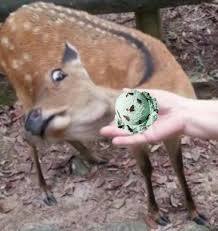 5f8dda2cd3a6987171e4f25b38fec0307cb18598