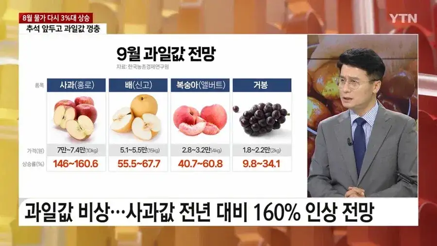 애플 가격 전년 대비 146~160% 인상 전망 | 인스티즈