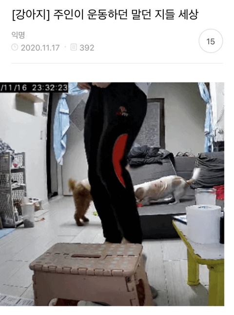 어제 동물병원 갔는데 옆테 다른 견주분이 몇살이냐고 물어보길래 26살이라고 대답했거든..? | 인스티즈