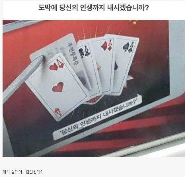 도박에 당신의 인생까지 내시겠습니까? | 인스티즈