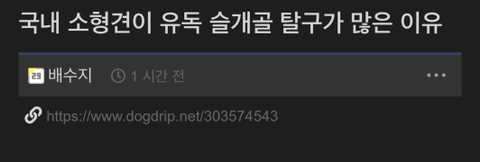 국내 소형견이 유독 슬개골 탈구가 많은 이유 | 인스티즈