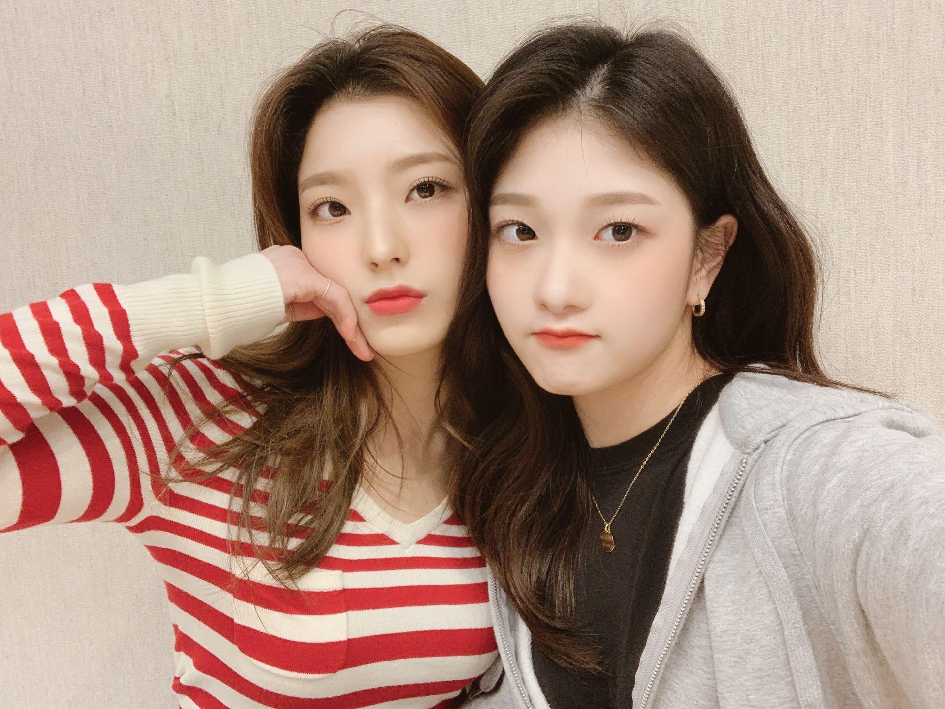 V라이브 채널에 올라온 프로미스나인 총 정리 2탄 | 인스티즈