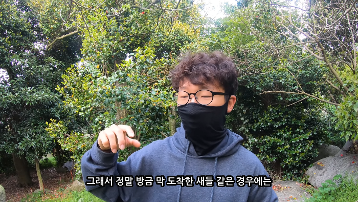 [사진100장스압] 고양이가 자연생태계에 끼치는 심각한 영향 | 인스티즈