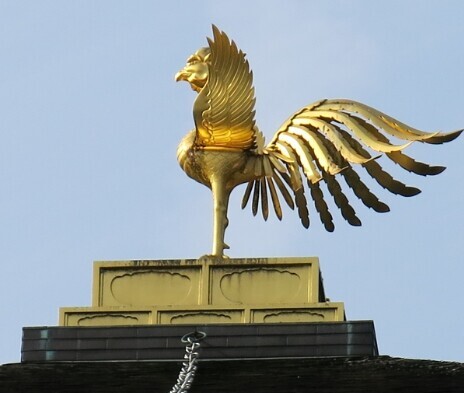 포켓몬스터 칠색조와 전설의 개들에 대해 알아보자 | 인스티즈