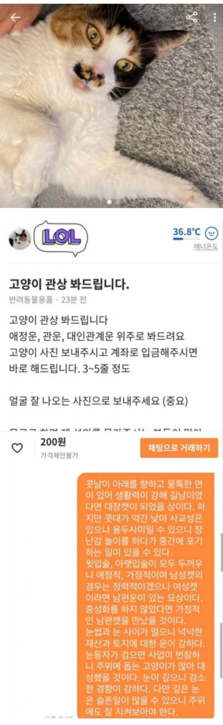 당근마켓에 등장한 고양이 관상가.. | 인스티즈