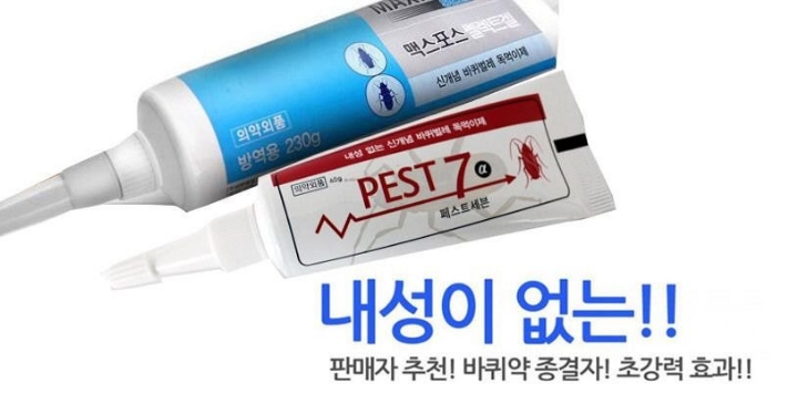 세상에서 제일 잘생긴 바퀴벌레 | 인스티즈