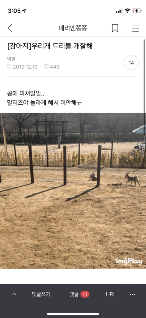 어제 동물병원 갔는데 옆테 다른 견주분이 몇살이냐고 물어보길래 26살이라고 대답했거든..? | 인스티즈