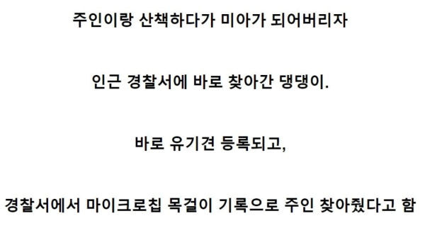 저기요, 사람을 잃어버렸어요 | 인스티즈