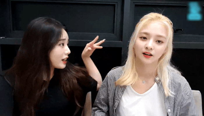 프로미스나인의 지원이와 나경이! (feat. 채영) | 인스티즈