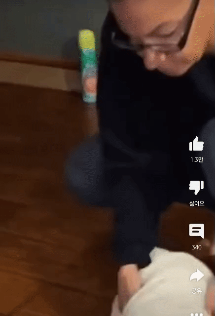 함부로 비버를 집에 들이면 안되는 이유.gif | 인스티즈