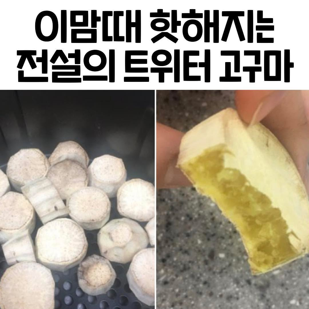 이맘때 핫해지는 전설의 트위터 고구마 | 인스티즈