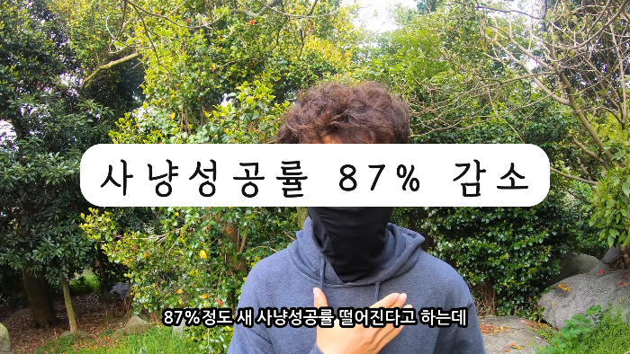 [사진100장스압] 고양이가 자연생태계에 끼치는 심각한 영향 | 인스티즈