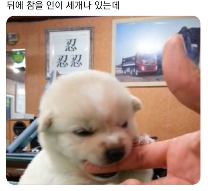 인 이미지