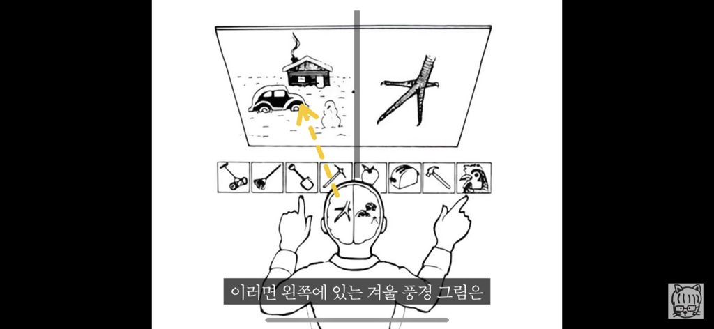 (스압)분리 뇌 실험 | 인스티즈