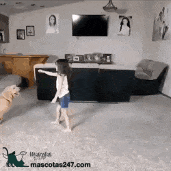 어린딸을 대형견과 방치했더니 | 인스티즈