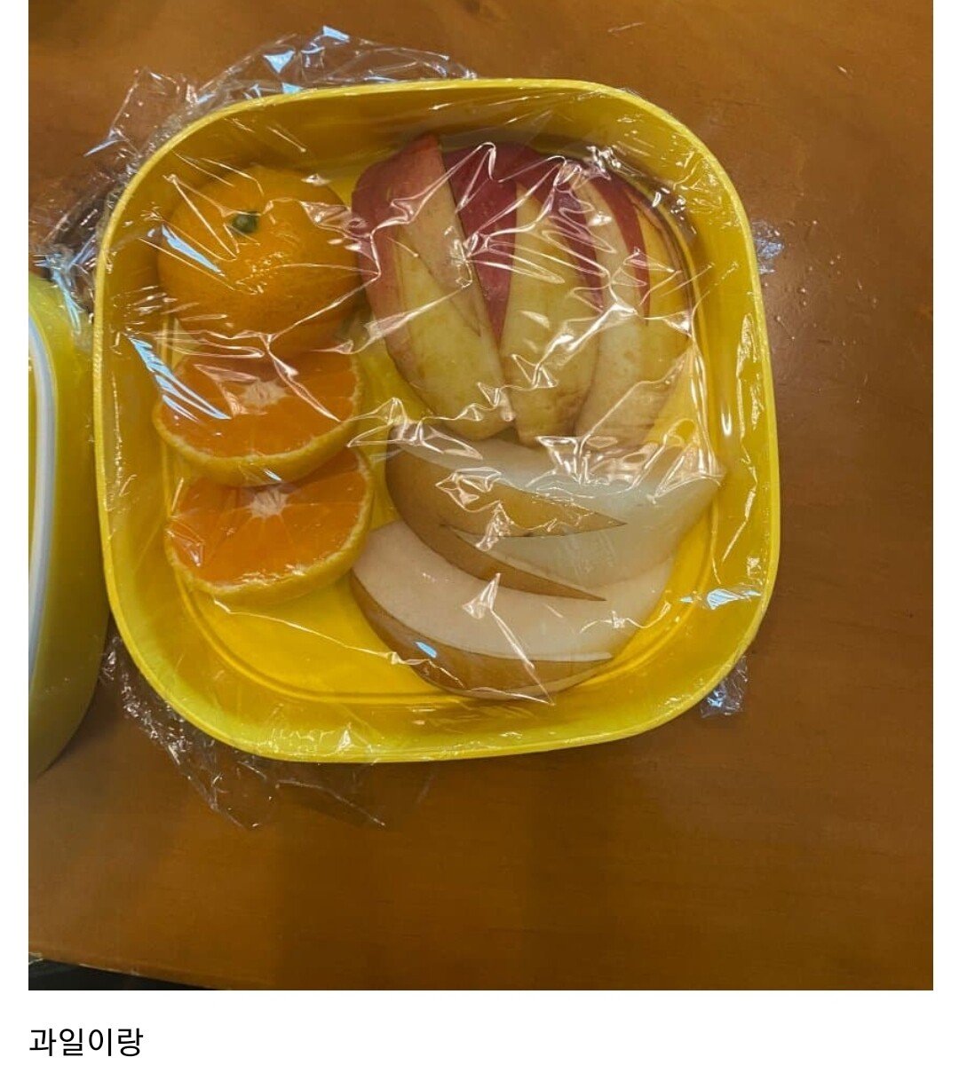 전남친에게 야돈 도시락을 싸줘봄 | 인스티즈