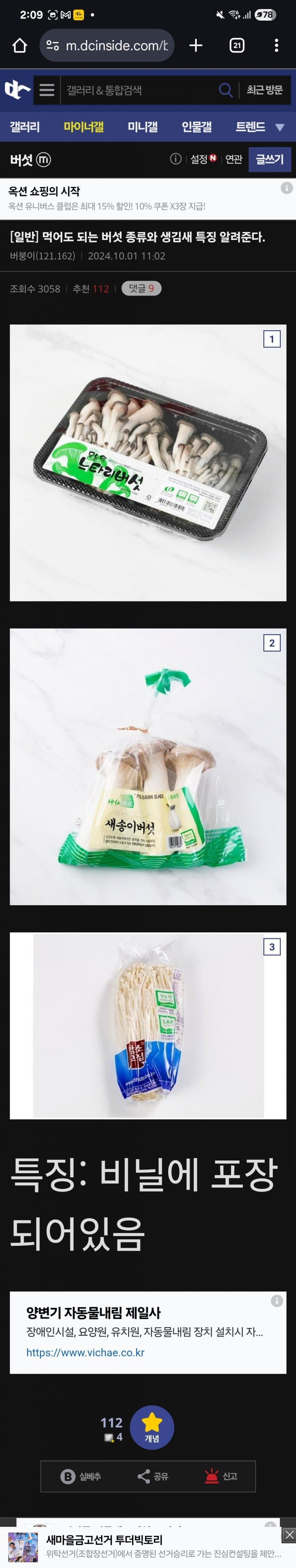 버섯 전문가가 알려주는 식용 버섯 특징 | 인스티즈