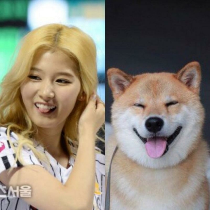 도지코인 닮은 아이돌 ㄷㄷㄷ.JPGIF | 인스티즈
