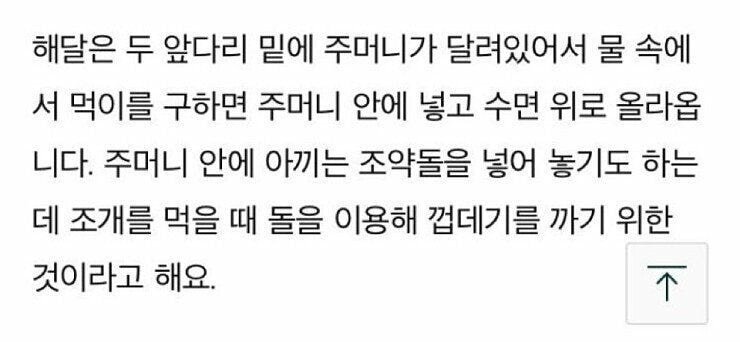 해달의 비밀 | 인스티즈