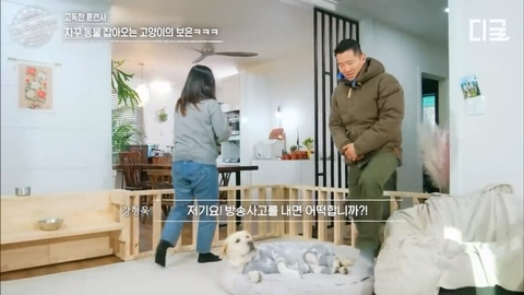 개랑 고양이 같이 키우는 집에서 방송하다 사고나서 깜짝 놀란 강형욱 | 인스티즈